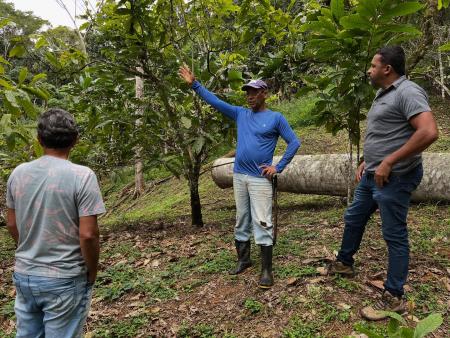Assistência técnica no campo impulsiona produção agrícola e turismo rural em Itagi