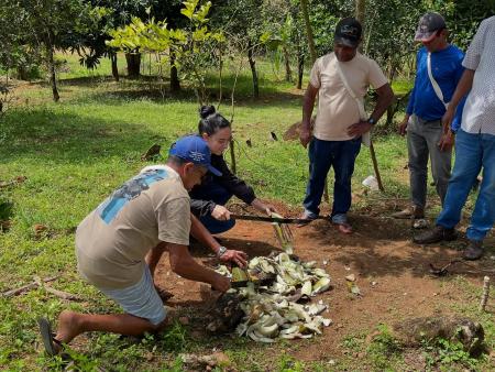 Produtores rurais participam de curso de Horticultura Orgânica em parceria com o SEBRAE